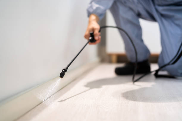 Certified termite inspector examining foundation in Hillsborough
